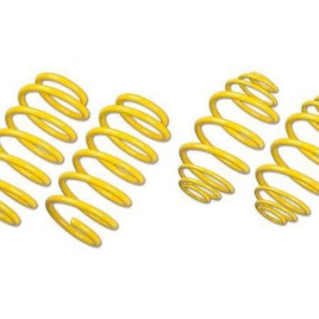 NOVITEC Sport Spring Set for Tesla Model 3